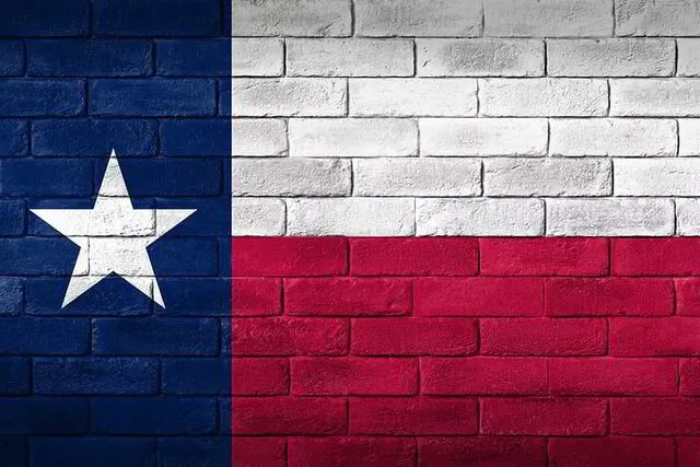 texas flag mural backdrop